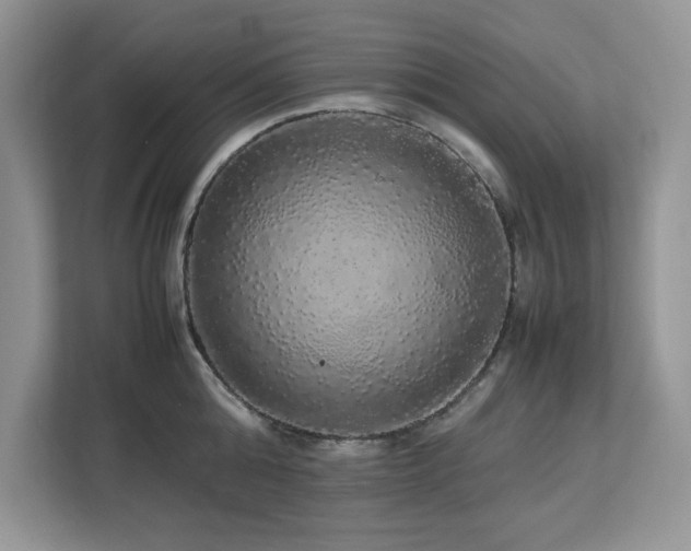 X0000113070808200908281153