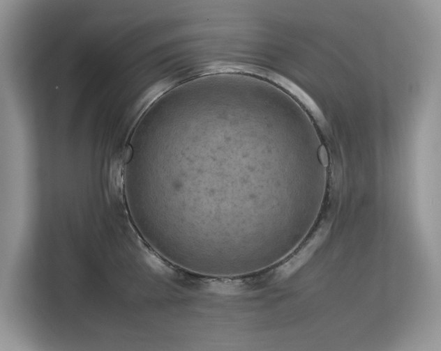 X0000113070809200908281153