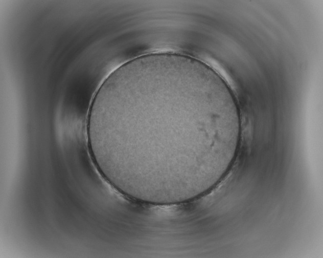 X0000113070810200908281153