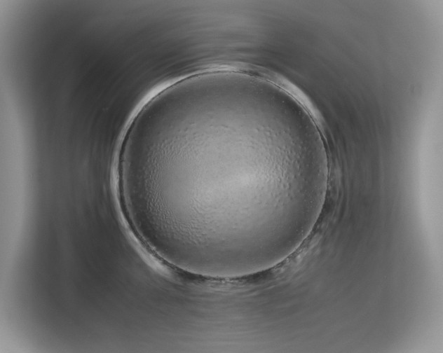 X0000113070811200908281153