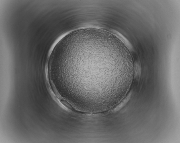 X0000113070812200908281153