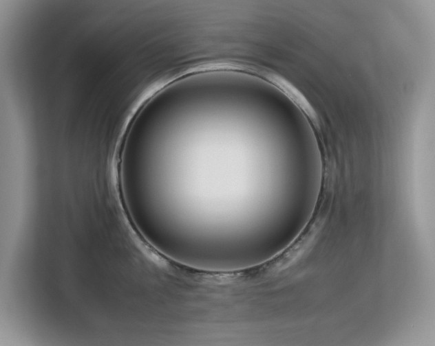 X0000113070813200908281153