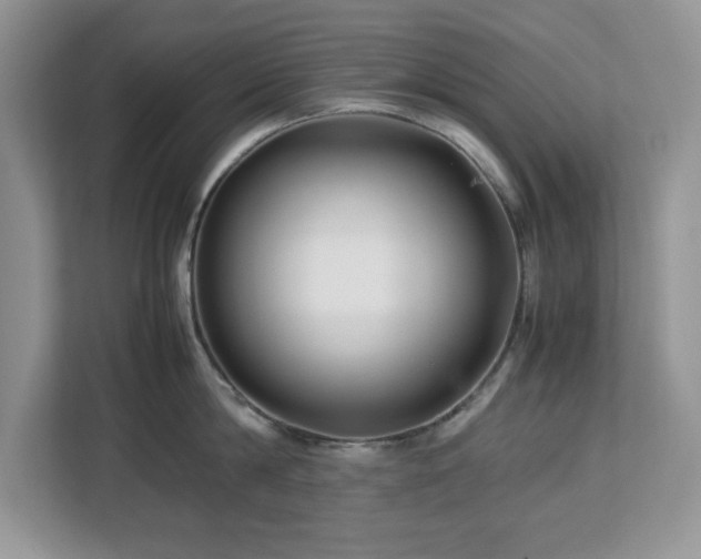 X0000113070814200908281153
