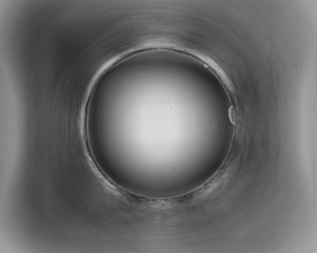 X0000113070815200908281153