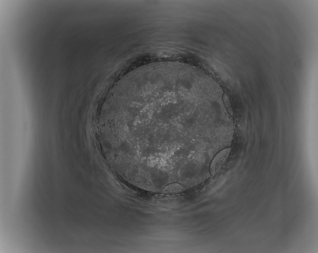 X0000113070817200908281152