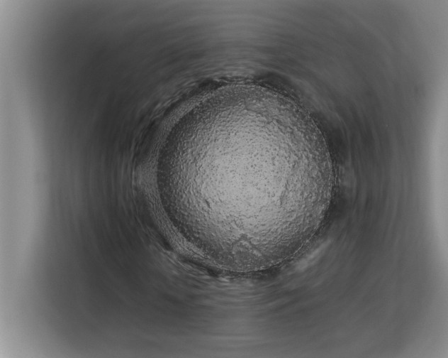 X0000113070818200908281152