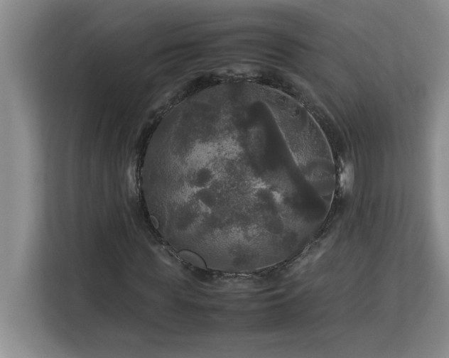 X0000113070819200908281152