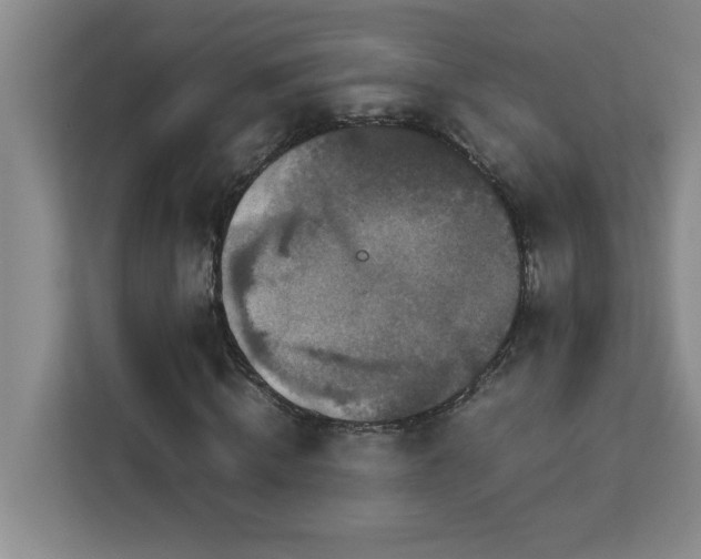 X0000113070820200908281152