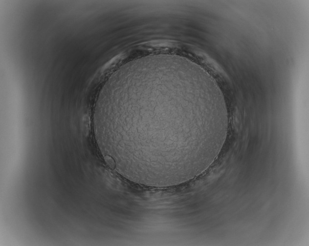 X0000113070821200908281152