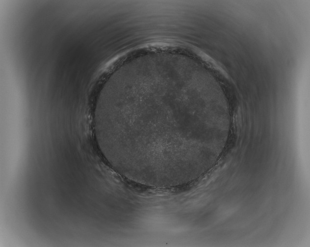 X0000113070822200908281152