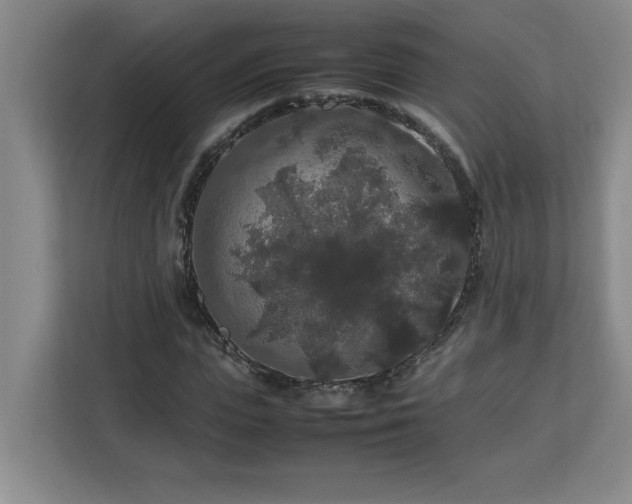 X0000113070823200908281152