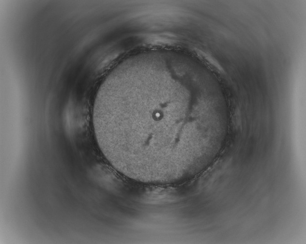 X0000113070824200908281152