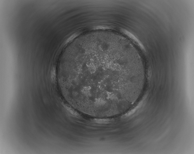 X0000113070825200908281152