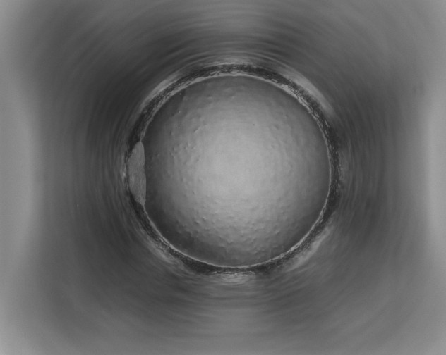 X0000113070826200908281152