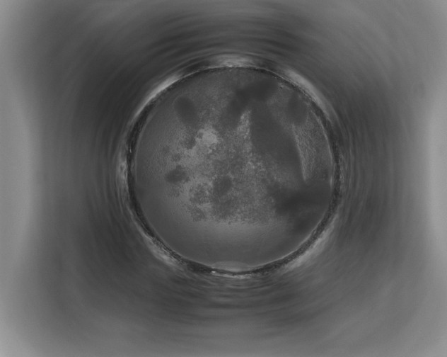 X0000113070827200908281152