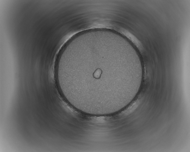 X0000113070828200908281152