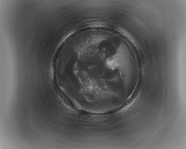 X0000113070829200908281152