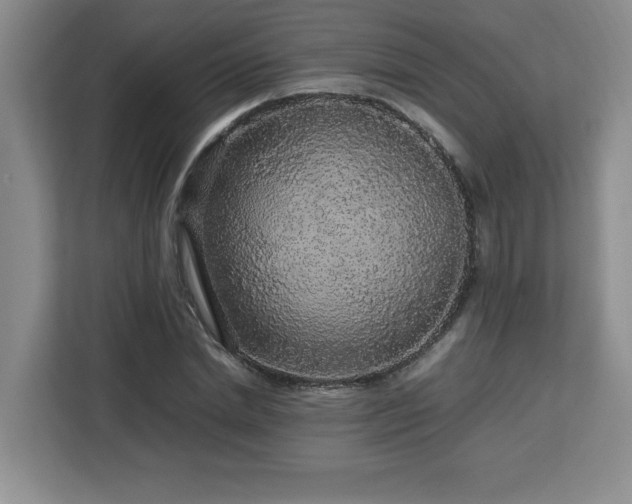 X0000113070830200908281152