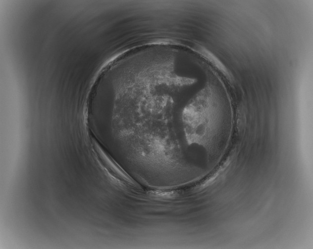 X0000113070831200908281152