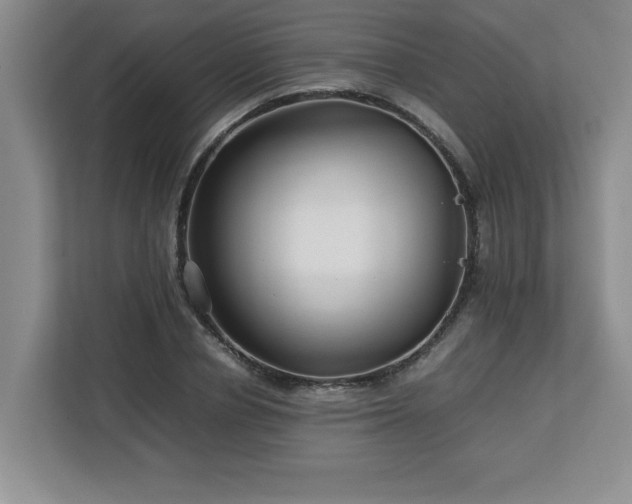 X0000113070834200908281152