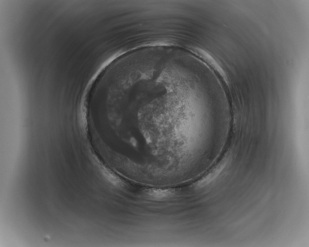 X0000113070835200908281152