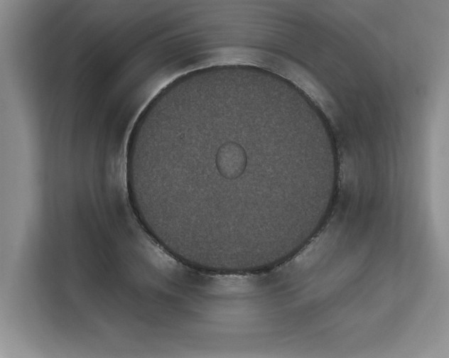X0000113070836200908281152