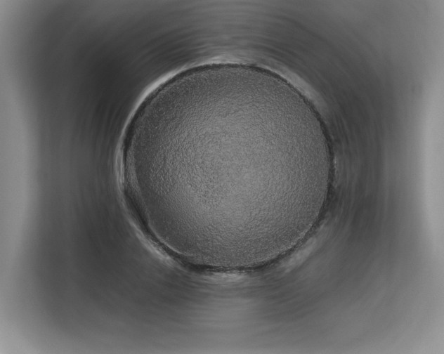 X0000113070838200908281152
