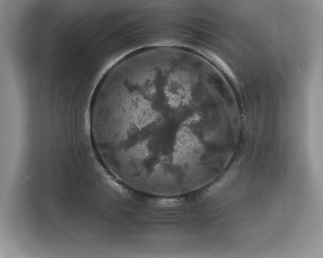 X0000113070839200908281152
