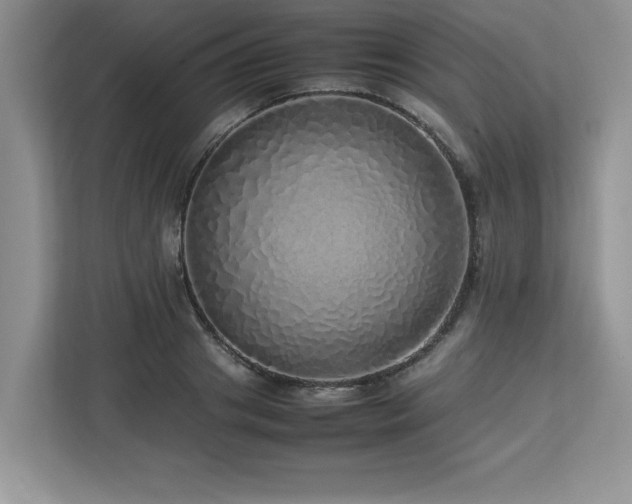 X0000113070841200908281153