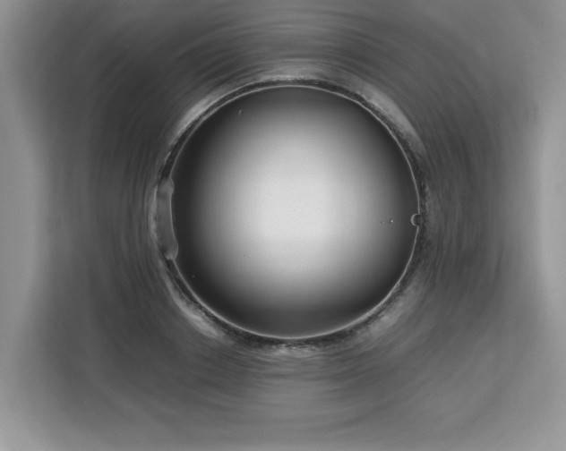 X0000113070842200908281153