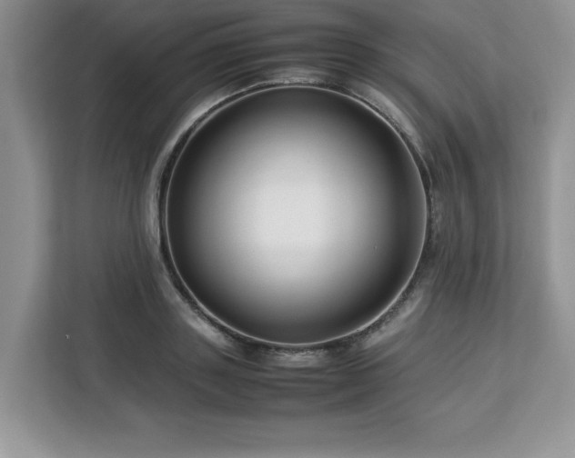 X0000113070843200908281153