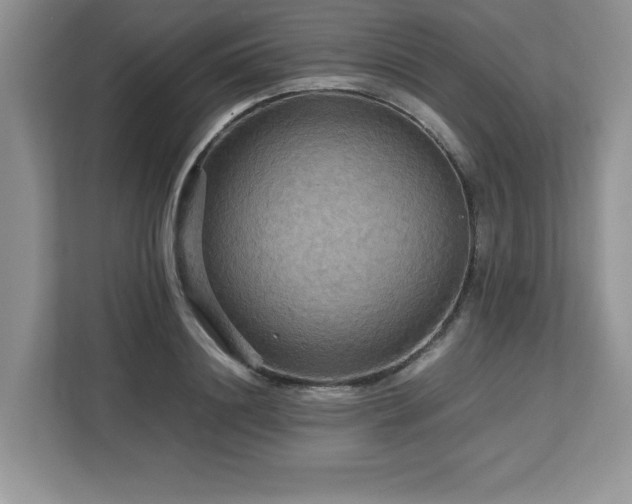 X0000113070844200908281153