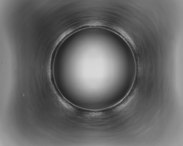 X0000113070845200908281153