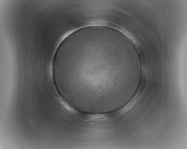 X0000113070846200908281153