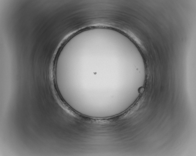 X0000113070848200908281153