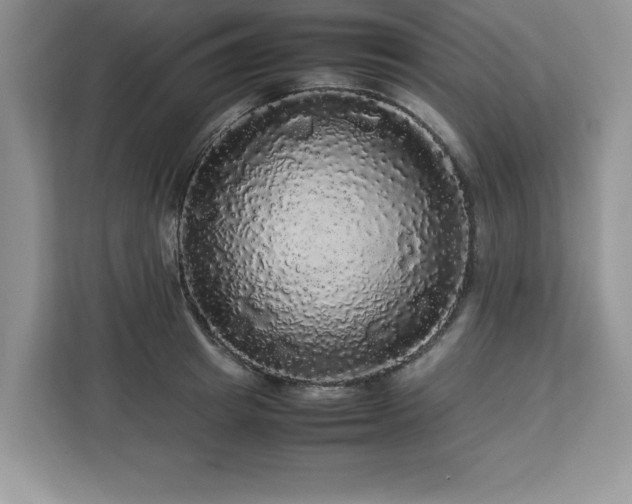 X0000113070849200908281153