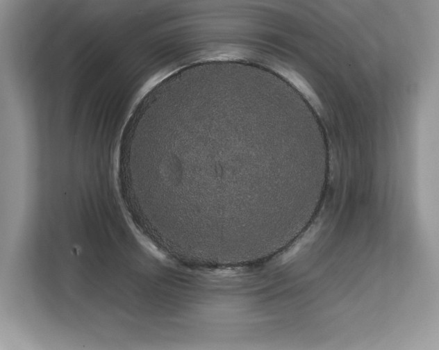 X0000113070850200908281153