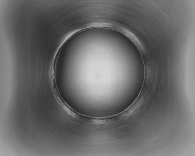 X0000113070852200908281153