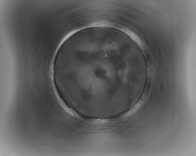 X0000113070854200908281153