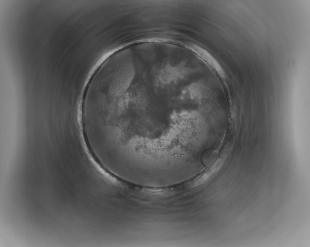 X0000113070855200908281153