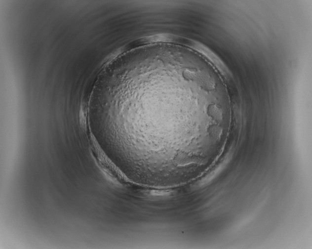 X0000113070857200908281153