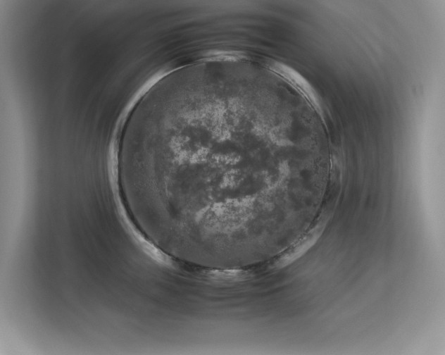 X0000113070859200908281153