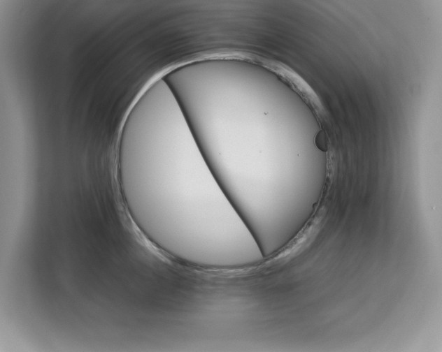 X0000113070860200908281153