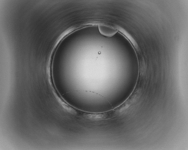 X0000113070861200908281153