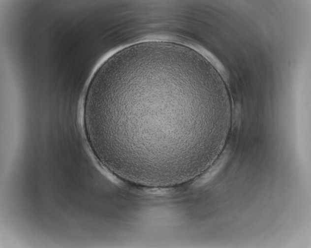 X0000113070862200908281153