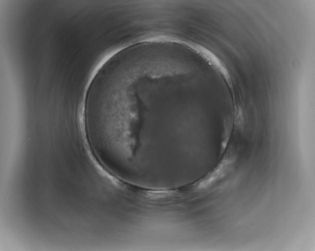X0000113070863200908281153