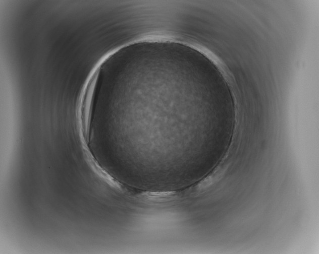 X0000113070864200908281153