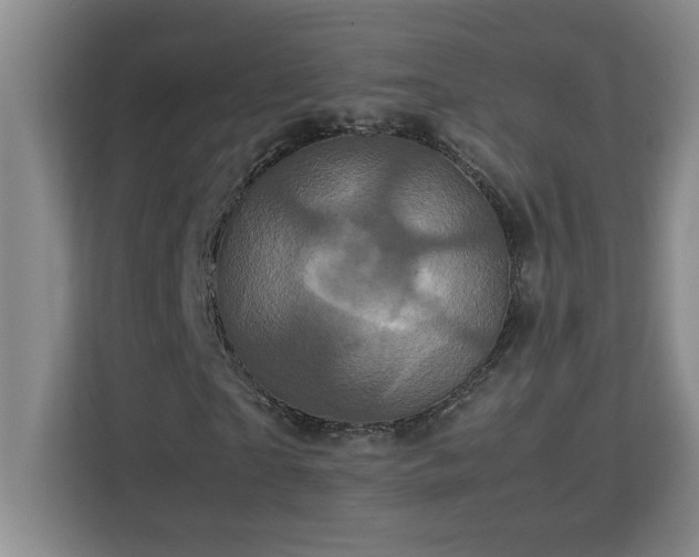X0000113070865200908281152
