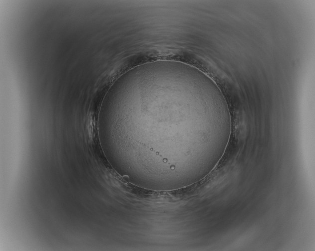 X0000113070866200908281152