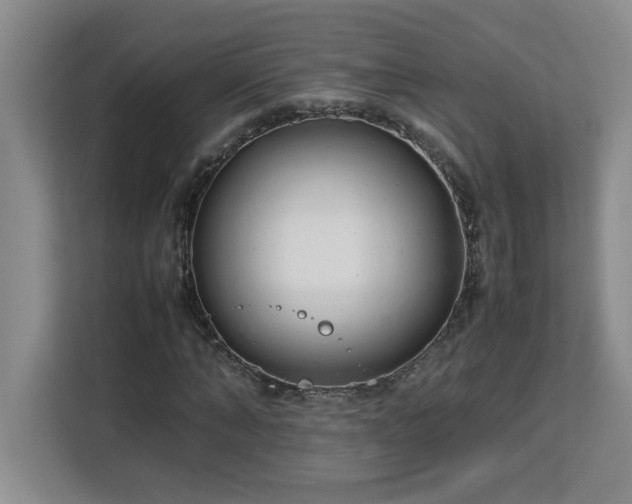 X0000113070870200908281152